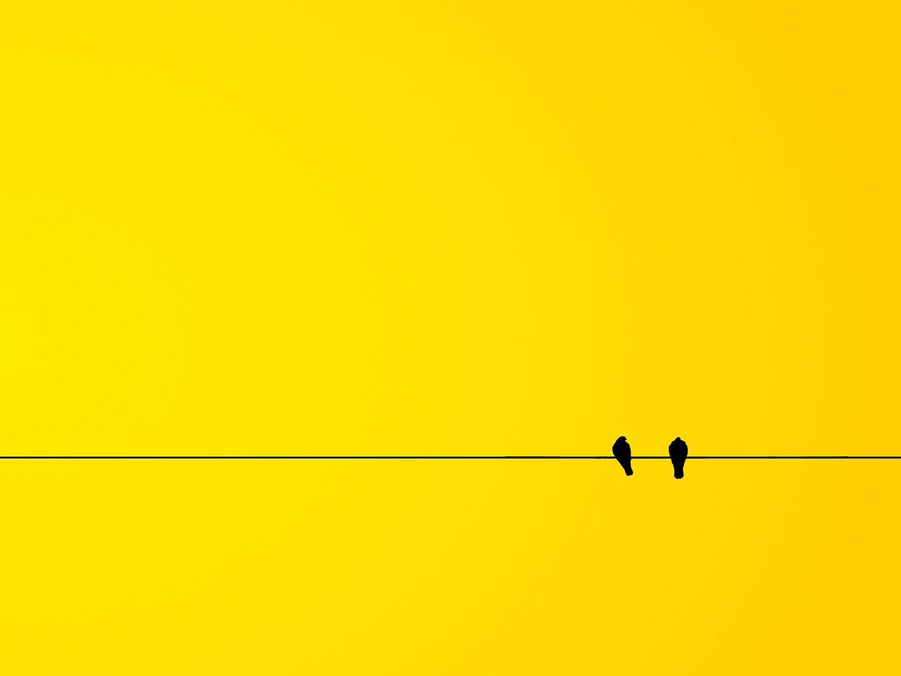 Click on the slide!